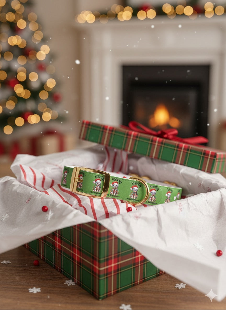 Personalized "Sparky 1st Christmas" Dog Collar - Festive Green Holiday Pet Collar